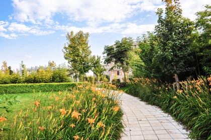 云南师范大学项目