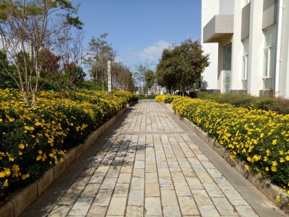 马金铺管养项目