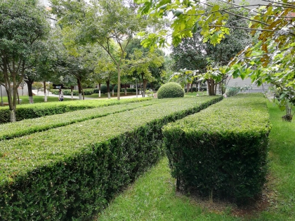 师范大学管养项目