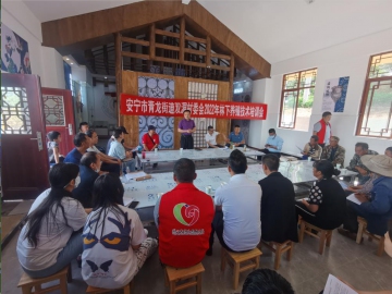 加快林下经济发展，为乡村振兴注入新动能